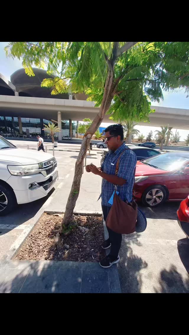 We've landed in Amman and work has started. We spotted the local Leicanea variety Jacaranda Filici Foliar at the airport parking lot. Immediately took pictures. A critical tree for our tree line design.