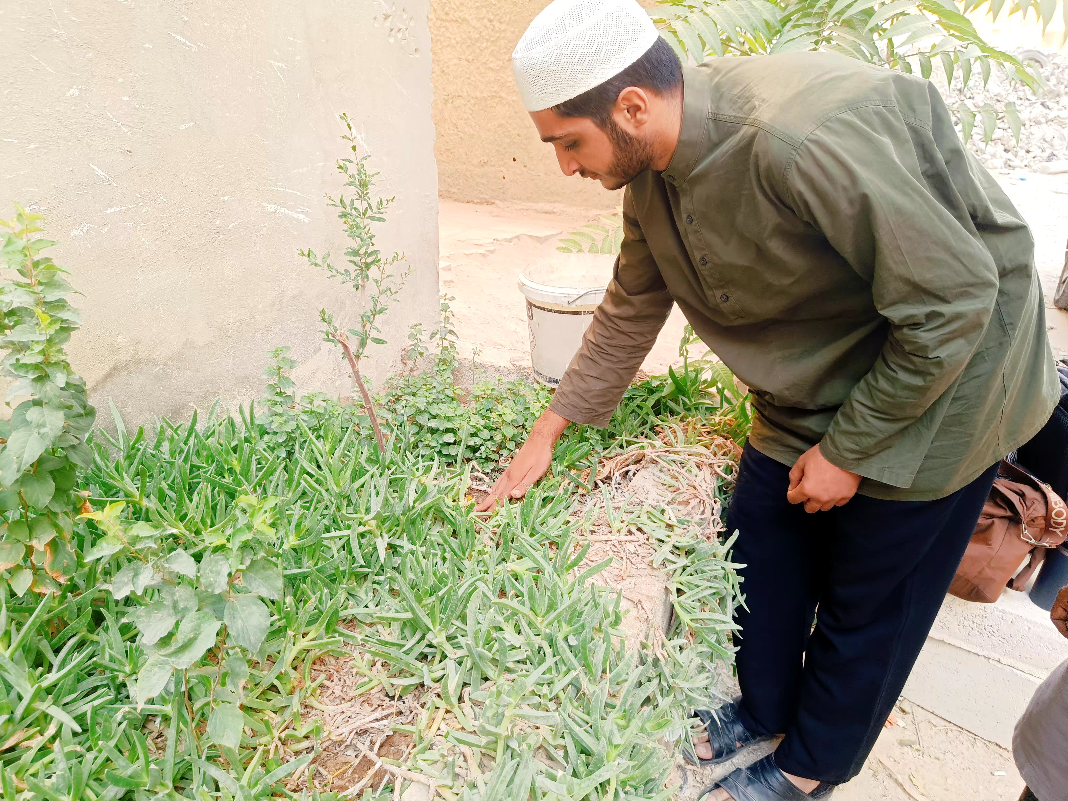 The first Moringa seeds were planted not at the farm, but at the little family plot of Brother Anas
